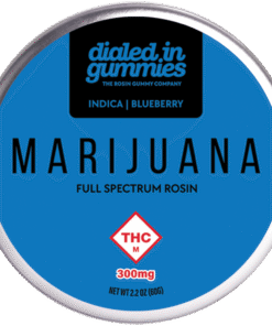 Dialed In Gummies Blueberry | Full Spectrum Rosin Gummies | Premium Solventless Edibles